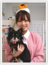 動物看護師　中村　里緒の写真